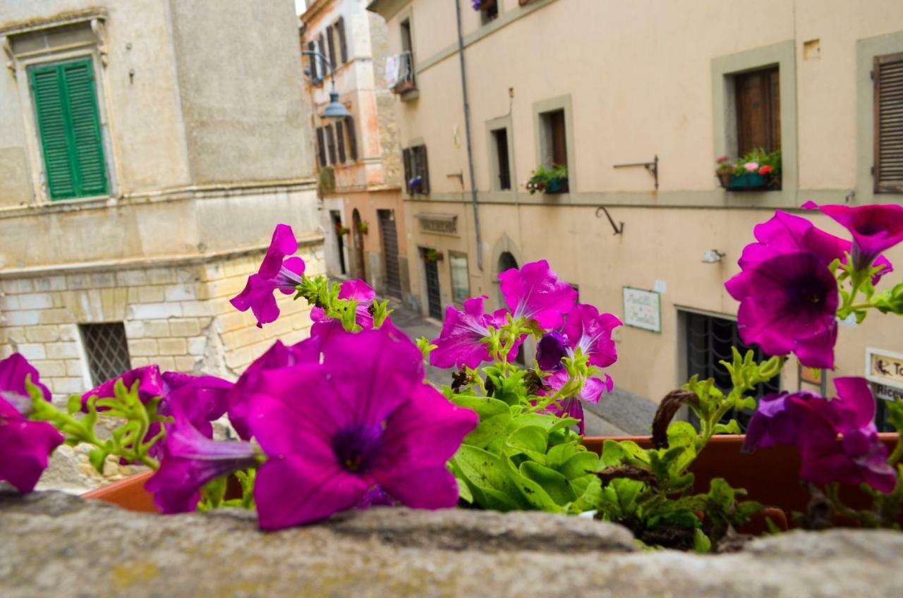 B&B Chiostro San Marco Tarquinia Bagian luar foto